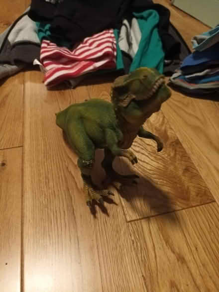 Photo of free Good quality t rex (east leake LE12) #1