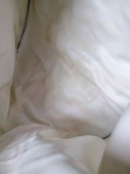 Photo of free Thermal Spa Electric Heating Cap (near Takoma Metro) #3