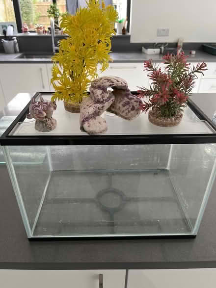 Photo of free Fish tank and ornaments (Orpington) #1