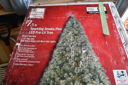 Photo of free Christmas Tree (East Petaluma) #1