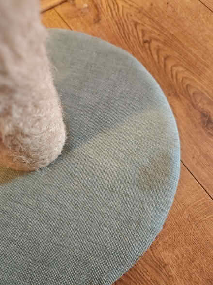 Photo of free Cat scratching post cactus (Upper Walthamstow E17) #2