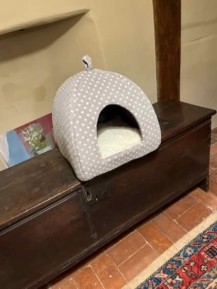 Photo of free Igloo cat bed (Blewbury) #1