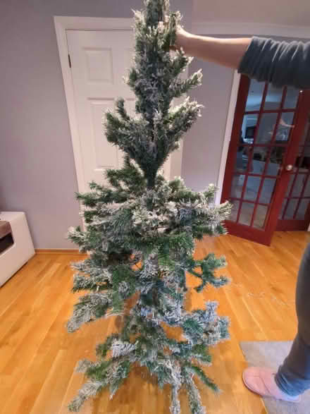 Photo of free Christmas tree - no stand (Lower Earley RG6) #1