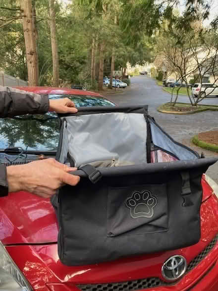 Photo of free Dog car seat (Lake Forest Park) #2