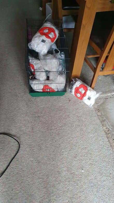 Photo of free Hamster cage and bedding (Stotfold SG5) #1