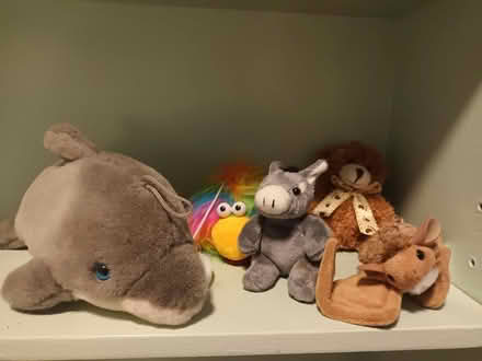 Photo of free Small soft toys (east leake LE12) #1