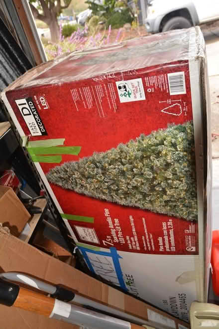 Photo of free Christmas Tree (East Petaluma) #2