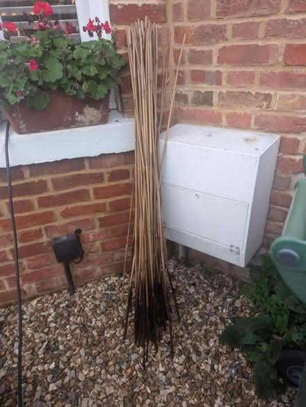 Photo of free Bamboo (OX4 Boulter Street) #2