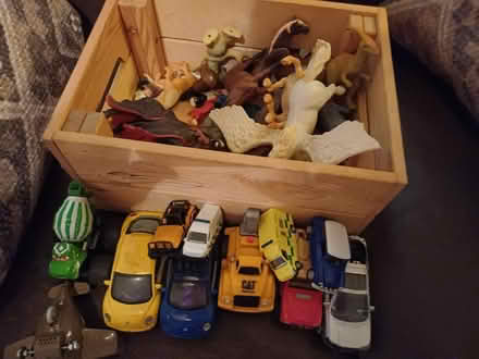 Photo of free Assorted toy cars and animals (Douglas road area.) #1