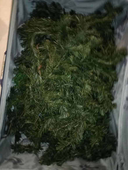 Photo of free Artificial pine branches (Maidstone ME15) #1