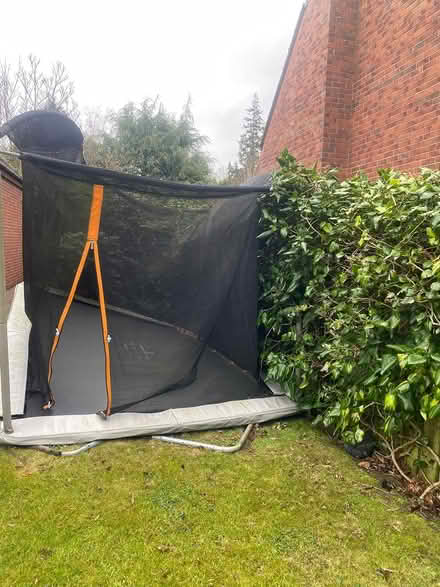 Photo of free Trampoline (Belfast) #3