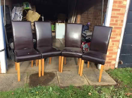 Photo of free Dinning room chairs (Maldon) #1