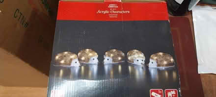 Photo of free Christmas hedgehogs (Horn's Mill SG13) #1