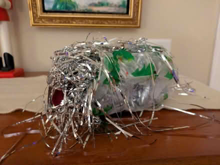 Photo of free Tinsel (San Carlos Flats) #1