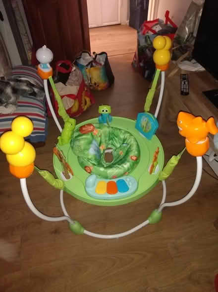 Photo of free Jumperoo (Tottenham N17) #1