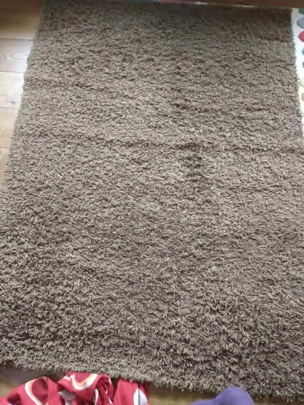 Photo of free Brown rug 117x160cm (Loxley, S6) #1