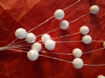 Photo of free Holiday arrangement items (Glen Erin/Council Ring) #2