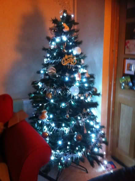 Photo of free Christmas tree (Connah's Quay CH5) #2