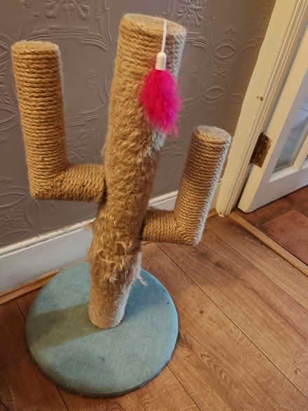 Photo of free Cat scratching post cactus (Upper Walthamstow E17) #1