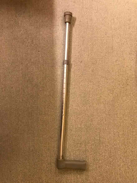 Photo of free Walking stick (West Horsley KT24) #1