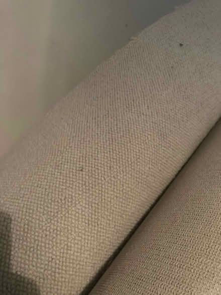 Photo of free Carpet (Mattishall NR20) #1