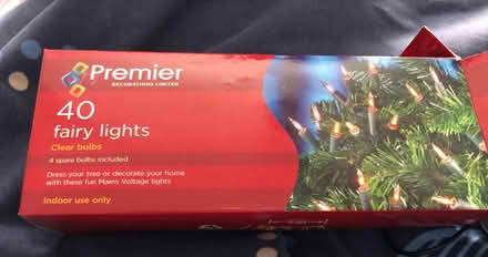 Photo of free Christmas tree lights (Sutton Farm SY2) #1