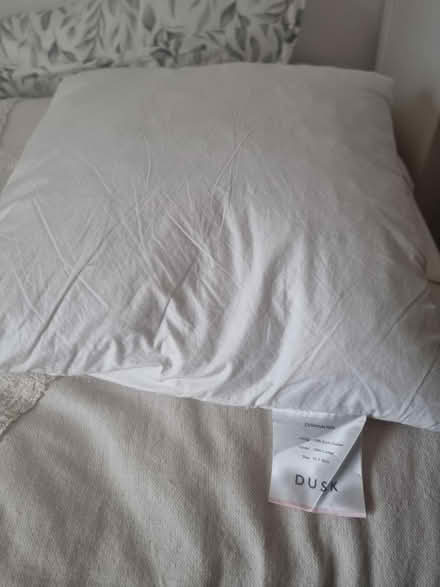 Photo of free Cushion (Lewisham SE13) #1