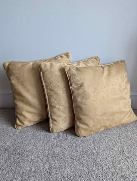 Photo of free 3 Cushions (West Worthing BN11) #1
