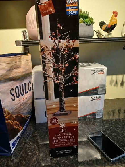 Photo of free Twig tree (Belper DE56) #1