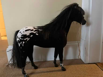 Photo of free American Girl Horse and Travois (Chesterbrook Rd and Albemarle) #1