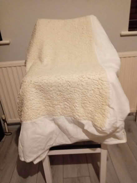 Photo of free Double mattress cover (Lewisham SE10) #1