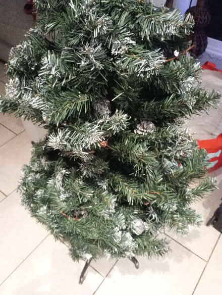 Photo of free Squished together Xmas tree (Maidstone ME15) #1