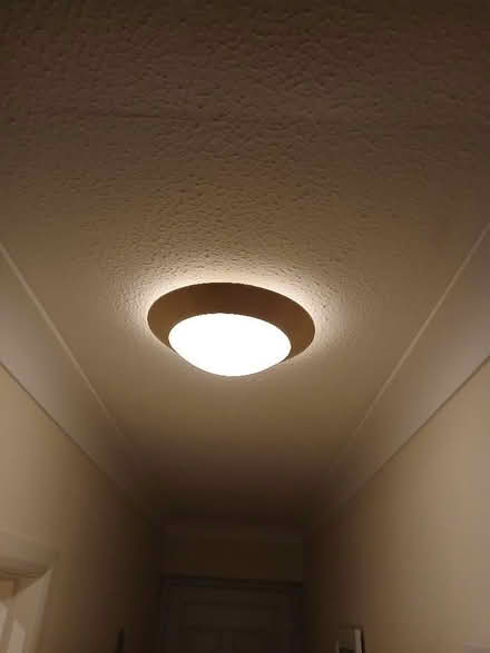 Photo of free Flush ceiling light - new (Parkwood Rainham ME8) #3