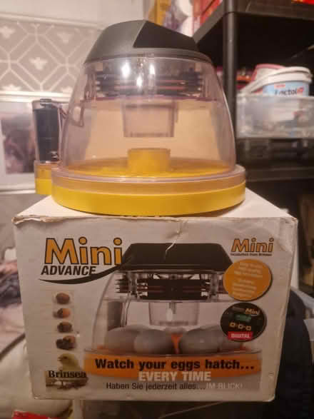 Photo of free Brinsea mini advance incubator (KT11) #1