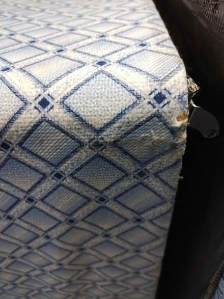 Photo of free Double bed mattress & base (Croydon) #3