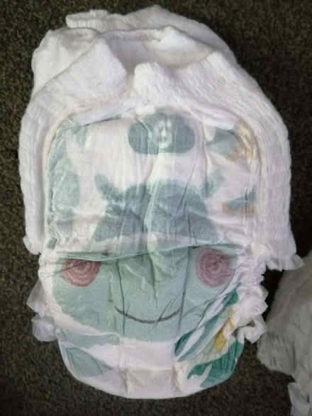 Photo of free Pull-Up Nappies. Girls Size 6. (Tyseley B11) #4