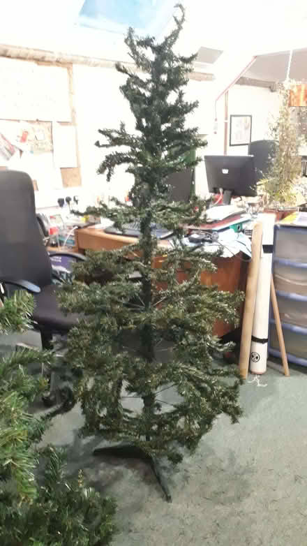Photo of free Christmas tree (Digbeth B5) #1