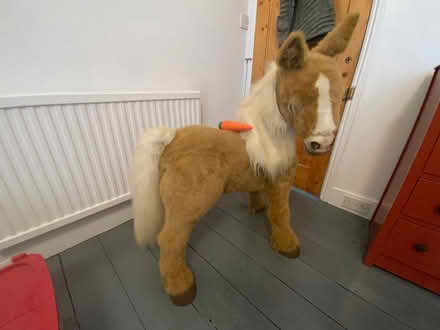 Photo of free Large toy horse (Dyke Road area BN1) #1
