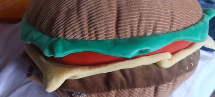 Photo of free Burger cushion (Lower Weston) #1