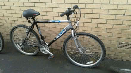 Photo of free Raleigh Explorer bike (G66 1LL) #1