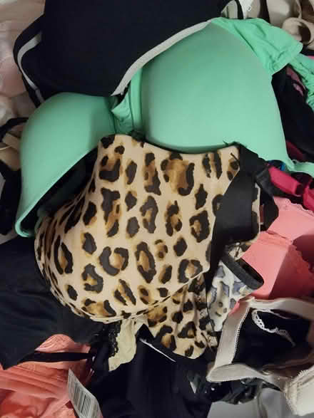 Photo of free Women's bras 36D (Grafton) #1