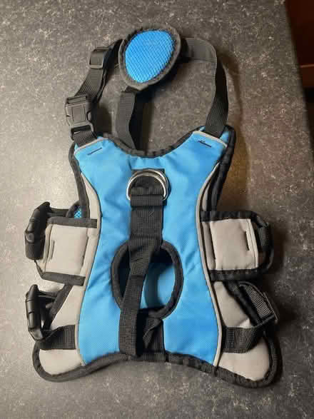 Photo of free Dog Harness (Wallasey CH45) #1
