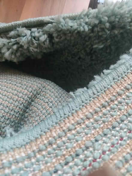 Photo of free Large rug (Lifford B30) #2