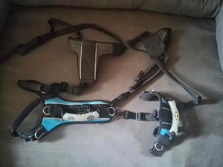 Photo of free em-up Dog Harness (large) (Linton, near Ross HR9) #1