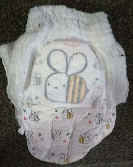 Photo of free Pull-Up Nappies. Girls Size 6. (Tyseley B11) #3