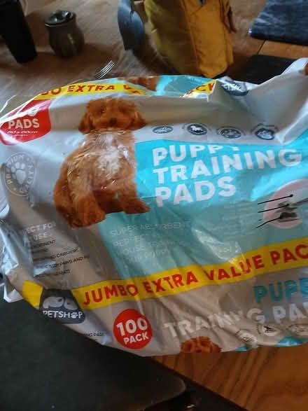 Photo of free Puppy training pads (Milnthorpe) #1