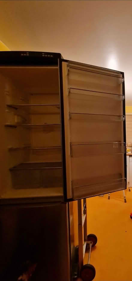 Photo of free American Style Fridge/Freezer (Cumbernauld G67) #3