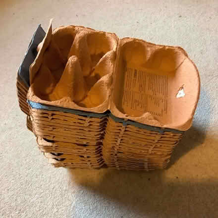 Photo of free eggboxes (Leckhampton GL53) #1