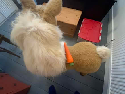 Photo of free Large toy horse (Dyke Road area BN1) #2