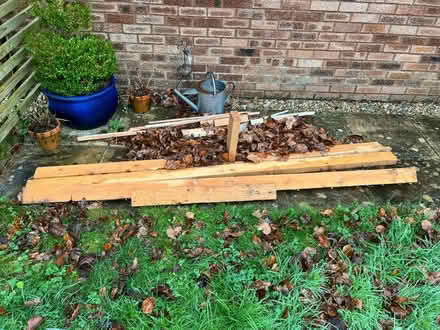 Photo of free 3 Long Timber Beams (Higher Metcombe EX11) #1